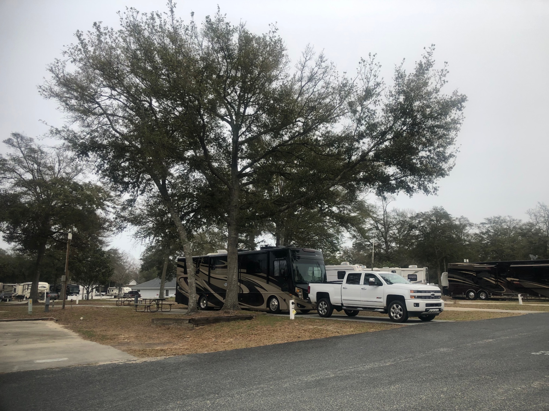 Fleetwood Excursion 35E and white Chevy Silverado at a wooded RV park campsite on an overcast day