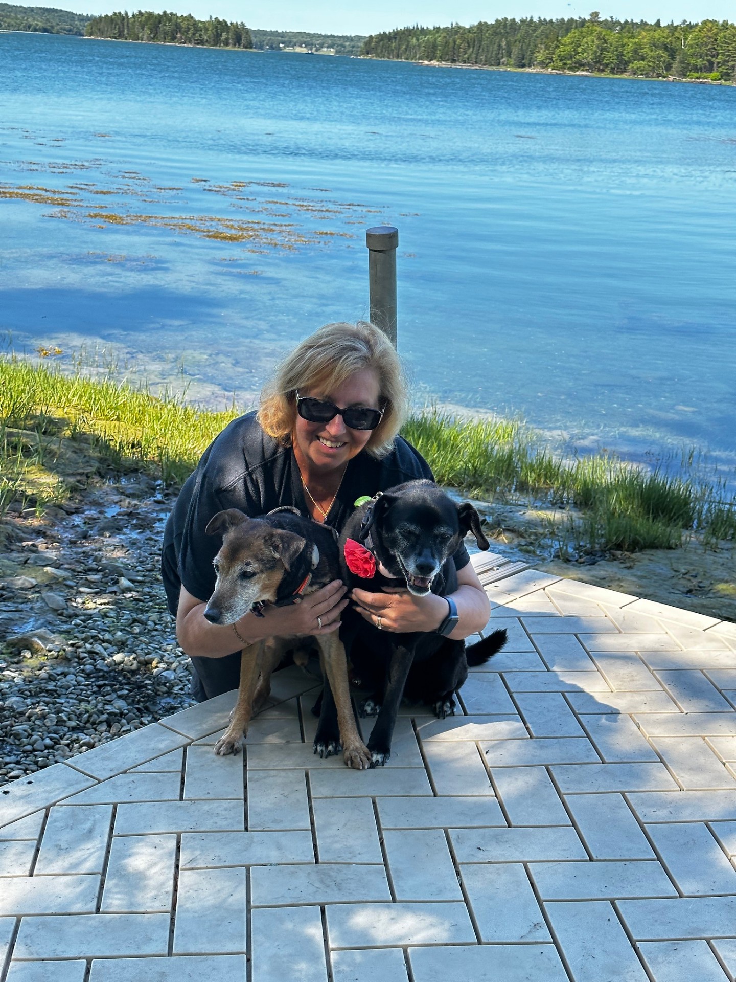 Donna with Phydeaux and Dixie by the water in Bar Harbor