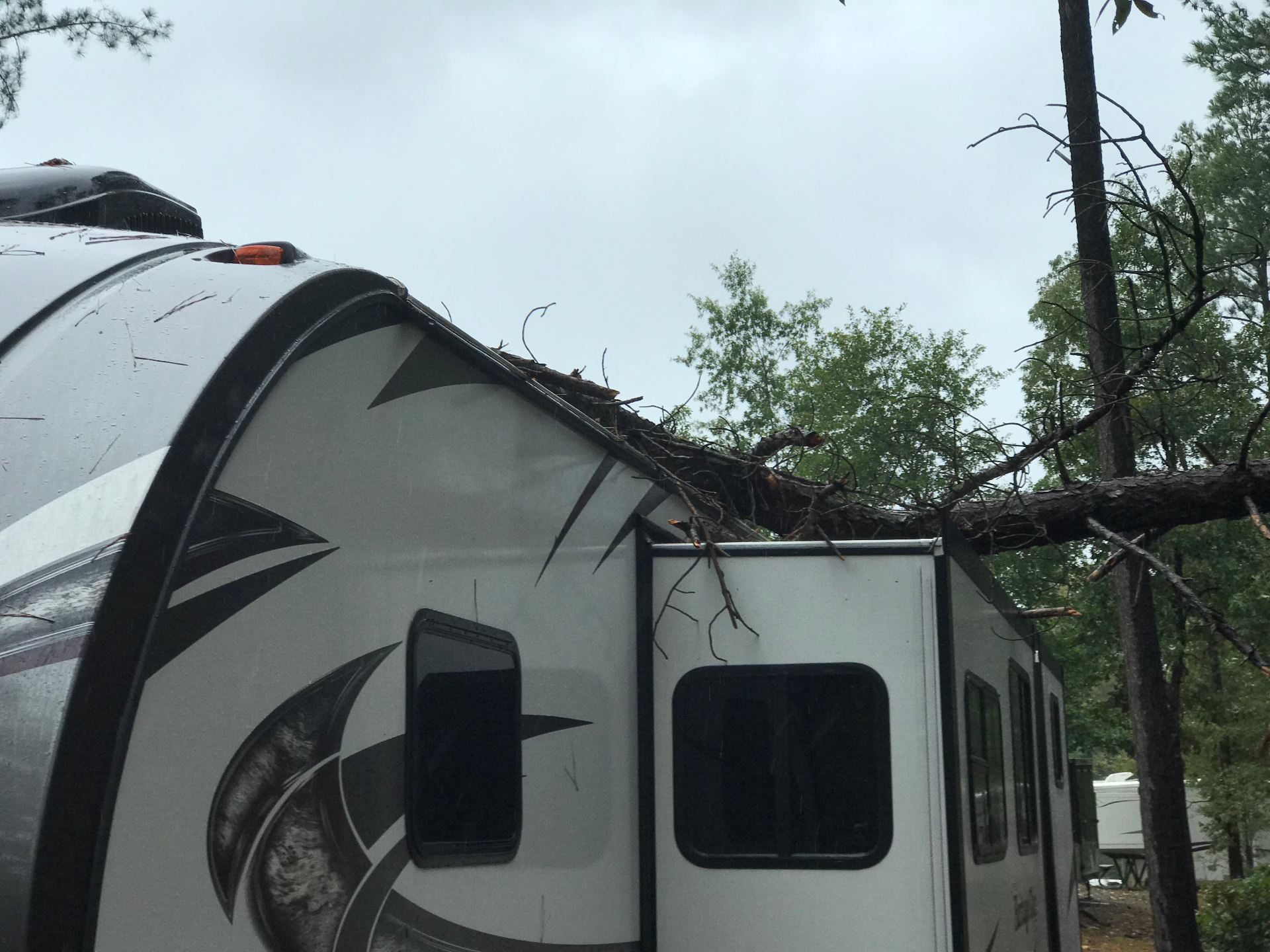 Storm damage on the 2018 Forest River Heritage Glen LTZ 312QBUD with a fallen pine tree resting across the roof and slide-out at a wooded campsite